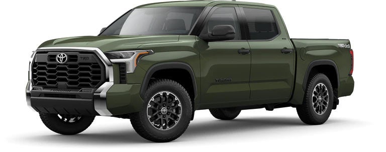 2022 Toyota Tundra SR5 in Army Green | Lynch Toyota of Auburn in Auburn AL
