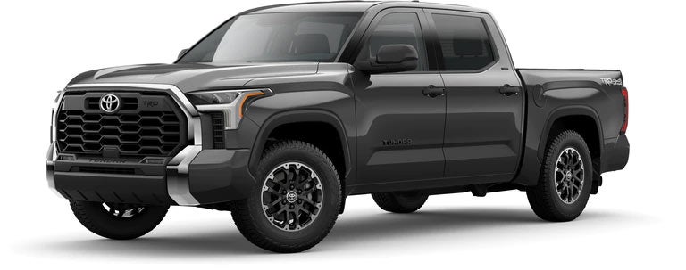 2022 Toyota Tundra SR5 in Magnetic Gray Metallic | Lynch Toyota of Auburn in Auburn AL